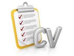 CV Chuẩn Kiểu Pháp