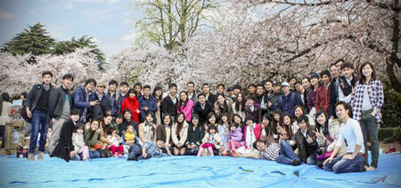 Một mùa Hanami nữa lại đang qua đi để lại nhiều ấn tượng cho những người Việt trẻ xa nhà